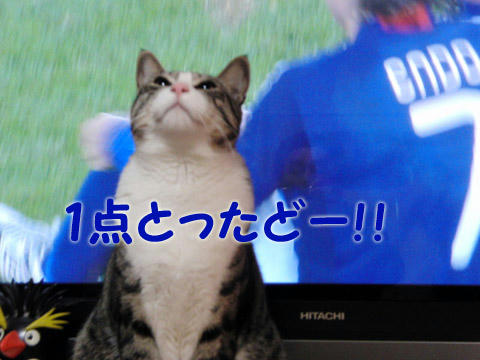 一点取ったどー!