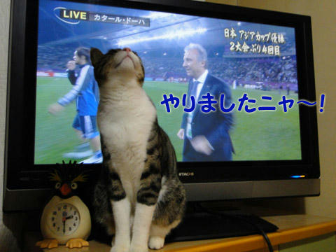 やりましたにゃ!