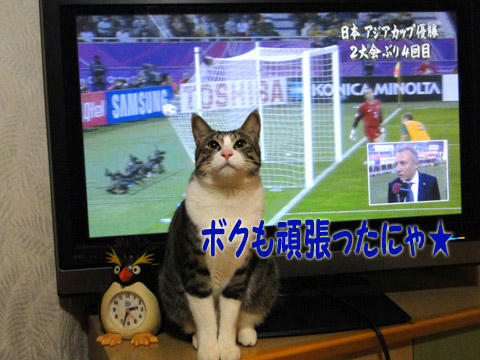 ボクも頑張ったニャ!