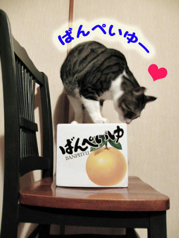 ばんぺいゆ~