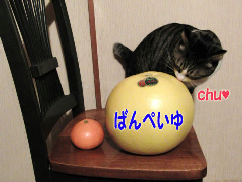 ばんぺいゆ!chu~!