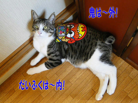鬼は外。だいふくは内♪