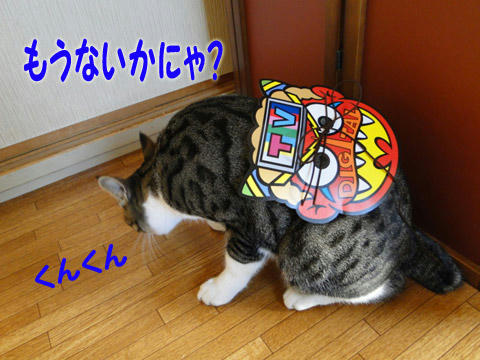 もう無いかにゃ?