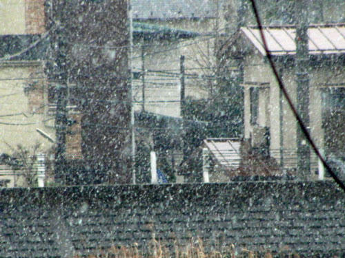 雪