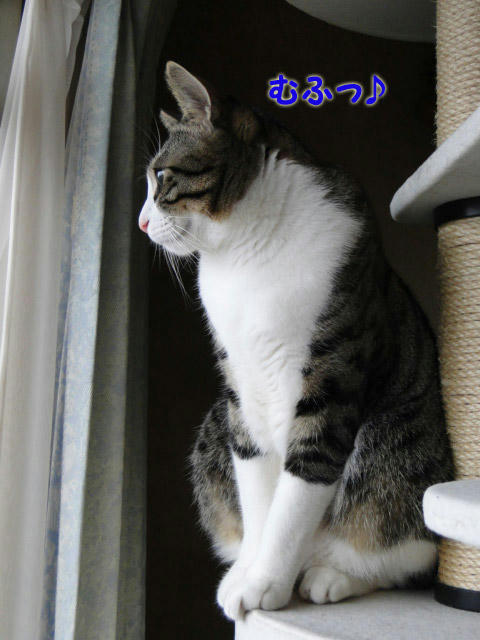 むふっ♪