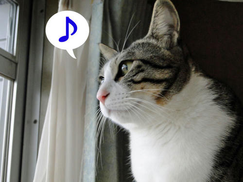 るん♪