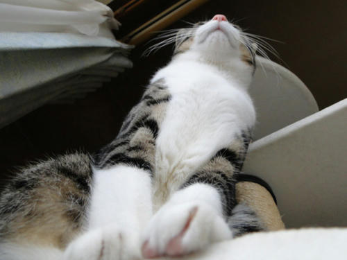 どーん