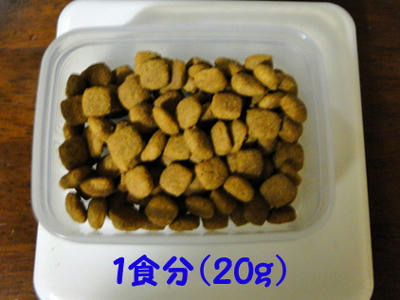 一食分