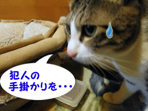 犯人の手掛かりを…