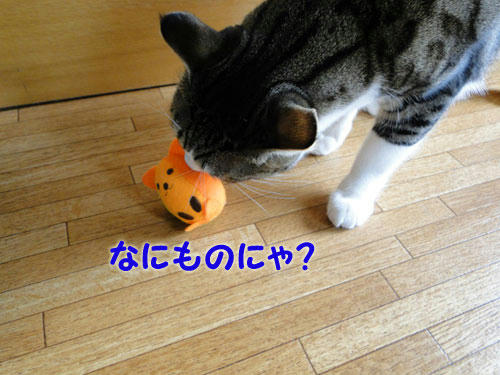なにものにゃ?