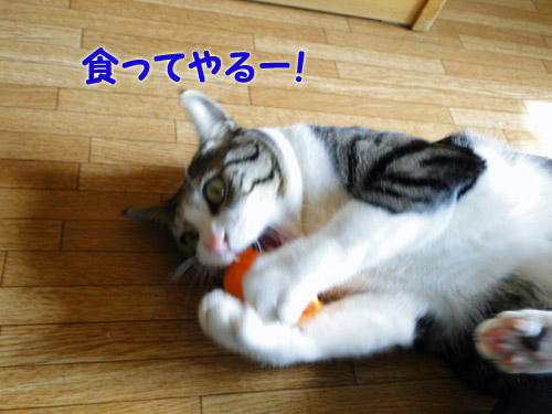 喰ってやるー!