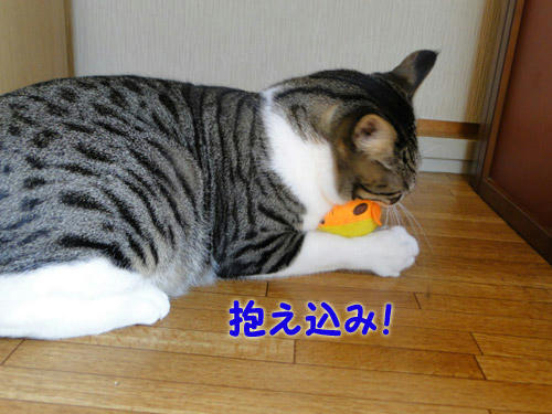 抱え込み