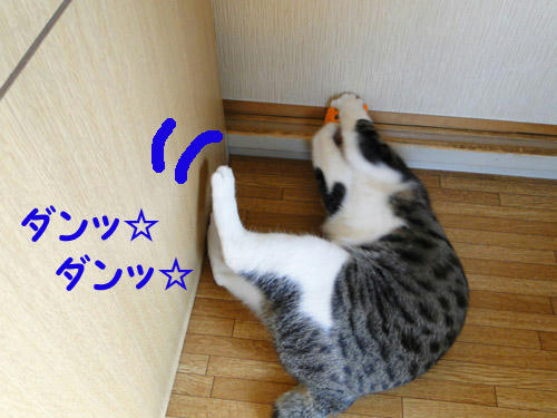 ダンッ!ダンッ!