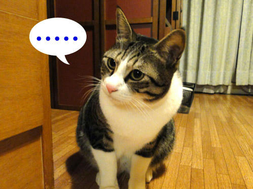 ・・・・・