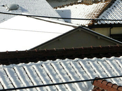 屋根