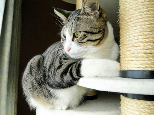 じー・・・