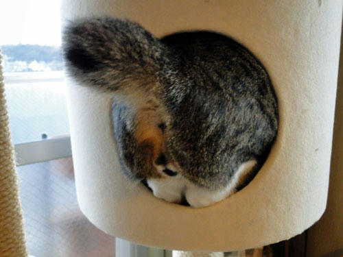 おちり