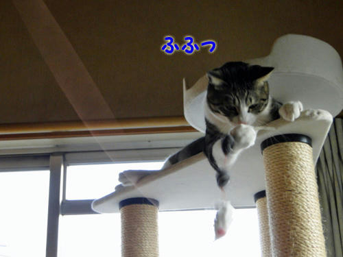 ふふっ