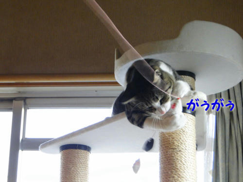 がうがう