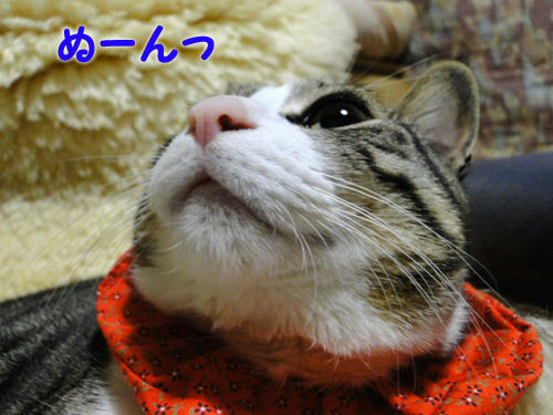 ぬーん