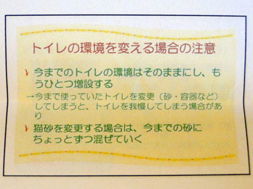 猫のトイレの変え方