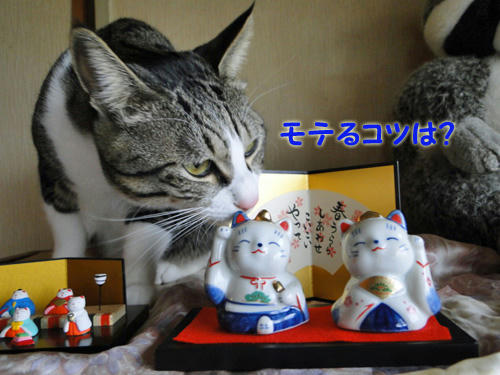 モテるコツは？