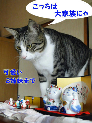 こっちは大家族にゃ