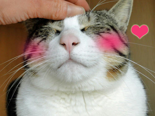 ぐふふふふ