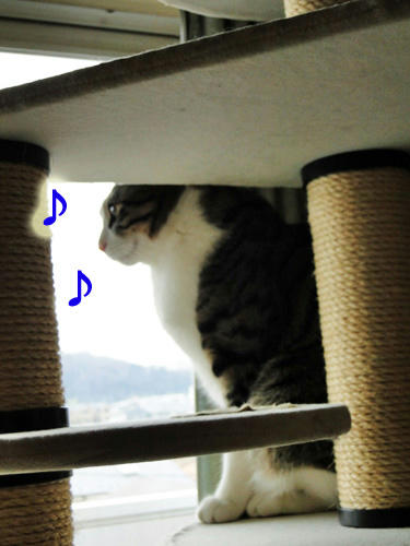 雪♪