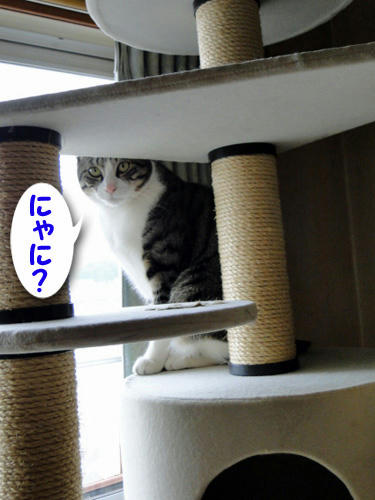 何?