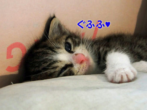 ぐふふふふ