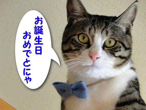 ママ、お誕生日おめでとう