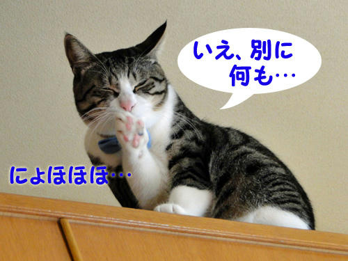 別に何も…(苦笑)