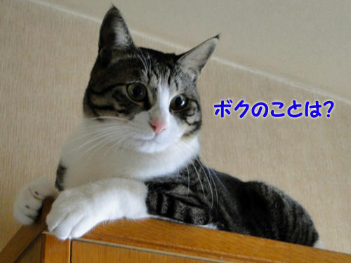 ボクの事は?