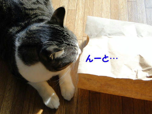 ん~?