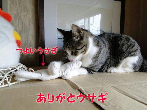 ありがとウサギ