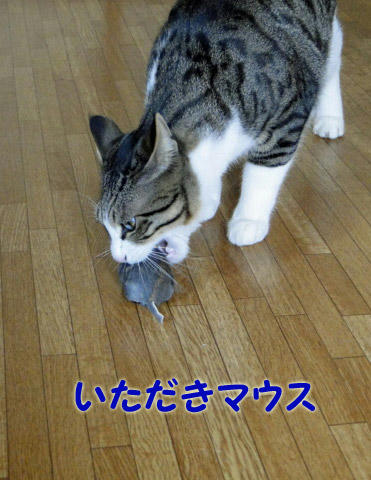 いただきマウス
