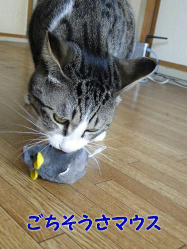ごちそうさマウス