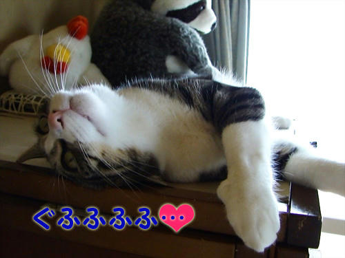 ぐふふふふ