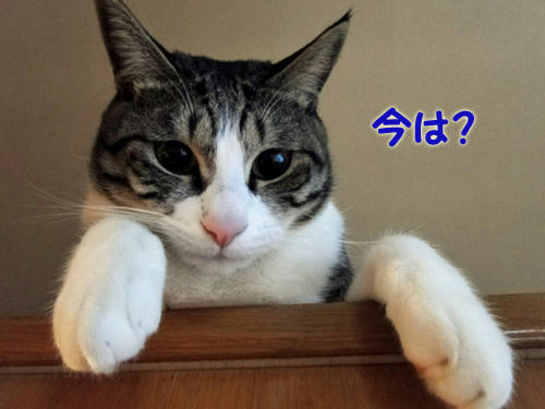 今は?
