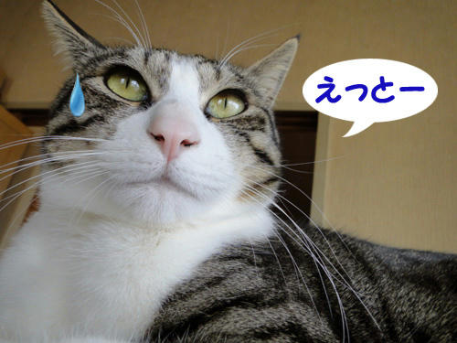 えっとー