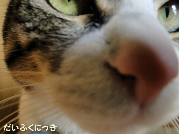 【画像】