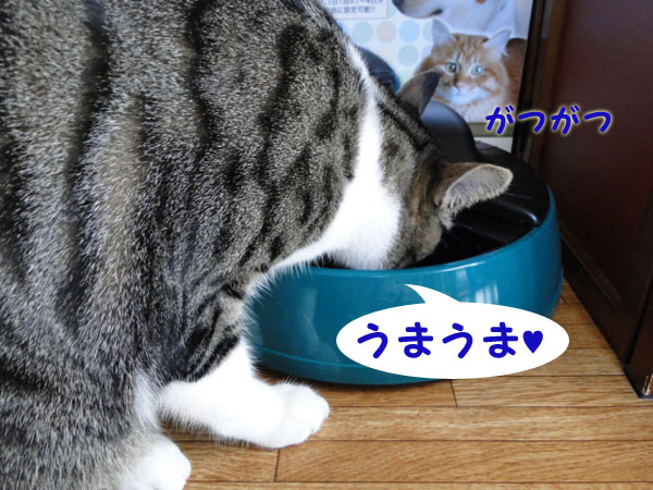 【画像】