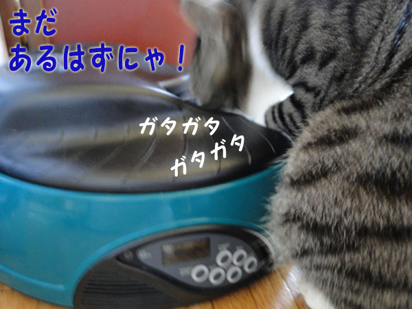 【画像】