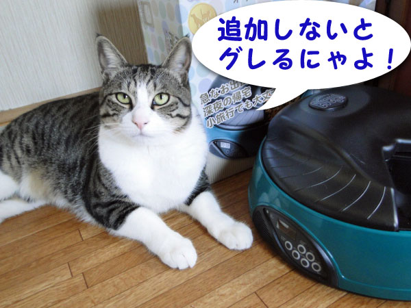 【画像】