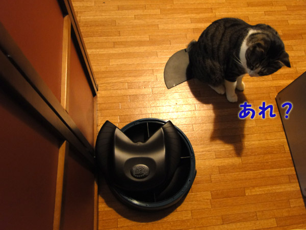 【画像】