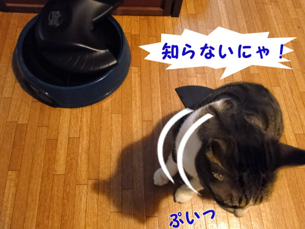 【画像】