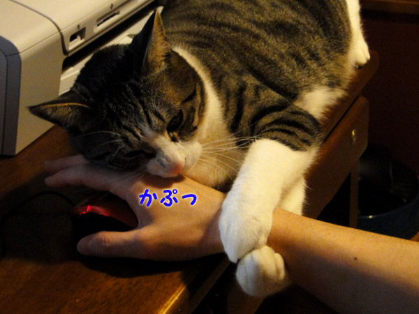 【画像】