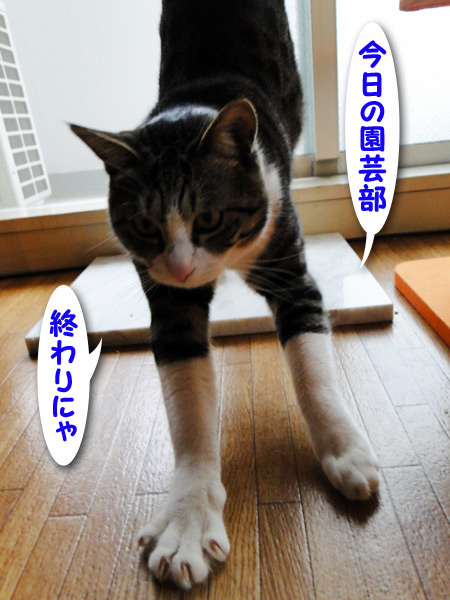 【画像】