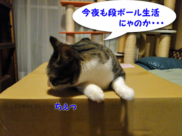 【画像】